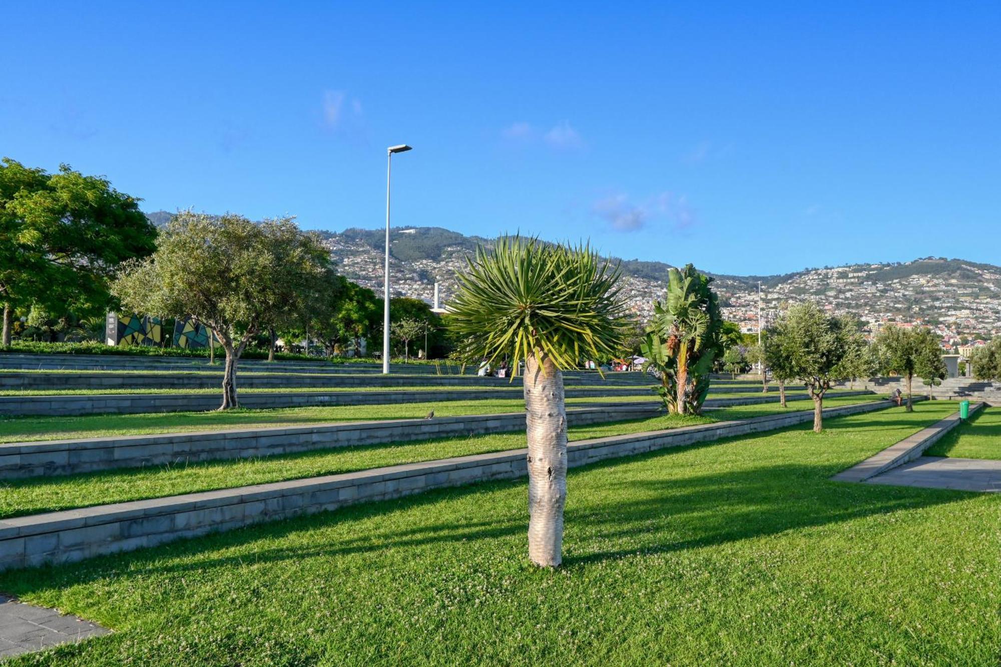 Beco Santa Emilia 1C, A Home In Madeira Funchal  Exterior photo